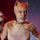 Taylor Swift. As a cat.